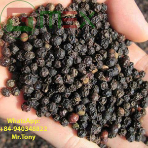 Pimienta negra Vietnam Secado 1er grado 100 KG Bolsa 5mm Audaz Buena calidad - Product Image 4