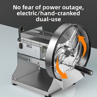 Elektrische automatische vierkante keuken-snijmachine voor fruit en groenten, met verstelbare dikte (0-10 mm), geschikt voor citroenen en aardappelen.