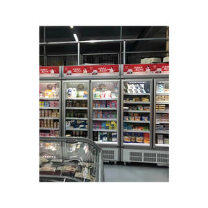 <span class=keywords><strong>ตู้</strong></span>เก็บอาหารแช่แข็ง<span class=keywords><strong>ตู้</strong></span><span class=keywords><strong>เย็น</strong></span><span class=keywords><strong>ตู้</strong></span><span class=keywords><strong>เย็น</strong></span><span class=keywords><strong>ตู้</strong></span>เก็บอาหาร<span class=keywords><strong>2</strong></span>ช่องสำหรับซูเปอร์มาร์เก็ต - Product Image 6