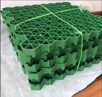 Dalles de gazon en plastique HDPE haute résistance, grille perméable, géosynthétiques pour aménagement paysager industriel, parking, allée