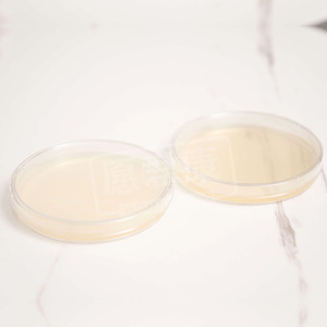 แผ่นเพาะเชื้อสารอาหาร Sunshine Biology ขนาด 90 มม. พร้อมใช้สำหรับเพาะเชื้อจุลินทรีย์ในจานเพาะเชื้อเพ็ตติช - Product Image 1