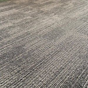 Piastrelle per pavimenti in tessuto Non tessuto per ufficio commerciale - Product Image 4