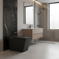Toilette intelligente de luxe noire en céramique à fonctionnement automatique et nettoyage intelligent