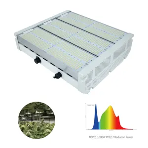 2023 Best Verkopende Binnenfabriek Full-Spectrum Landbouw Groene Huislamp Quatum Board Led Grow Light 1000W