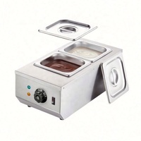 Machine à fondue électrique commerciale double immersion pour la fusion de fromage et de chocolat, idéale pour la transformation alimentaire