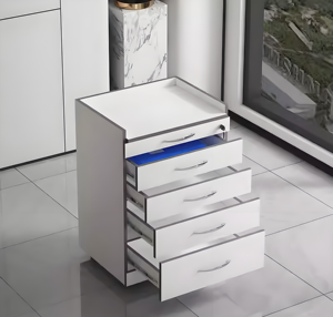 Postazioni Odontoiatriche, Cliniche Mediche, Laboratori, Carrelli Compatti, Armadietti e Mobili per Stoccaggio. - Product Image 2