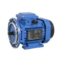 Y2 Series 3 Phase Induction Brushless AC Electric Motor