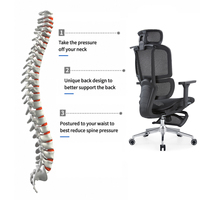 Chaise de bureau ergonomique en maille avec soutien lombaire réglable, dossier haut, pivotante, avec accoudoirs pour le bureau à domicile