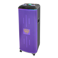 Altavoz Activo Profesional para Escenarios al Aire Libre, OEM DEM SKD TWS, Doble Woofer de 15'', 2 Vías, 600W, con Batería, Iluminación de Escenario