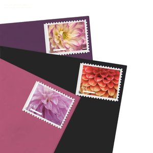 Autocollants adhésifs <span class=keywords><strong>de</strong></span> timbres-poste vintage <span class=keywords><strong>de</strong></span> première classe USA, thème Feuilles 2025, pour envoi postal, papier <span class=keywords><strong>de</strong></span> timbrage US Mail - Product Image 5