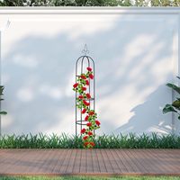 Obélisque de jardin en treillis pour plantes grimpantes, support en métal en forme de tour pour roses, vignes, fleurs, tomates, plantes de patio extérieur
