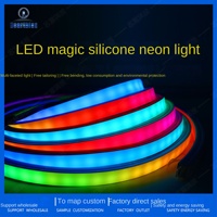 Bande LED néon flexible, barre lumineuse souple multicolore 12V IP20, extérieur, silicone pur, télécommande, intensité variable, couleur magique