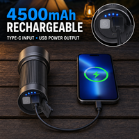 Lampe torche UV 1372 avec détection UV, 4500 mAh, Type-C, Fourniture d'usine