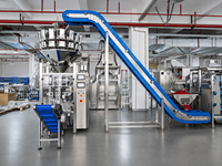 Machine d'emballage verticale automatique avec peseuse multi-têtes à 14 têtes et élévateur à grande inclinaison pour l'emballage de snacks, d'aliments soufflés et de chips