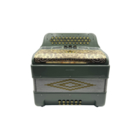 SEASOUND Accordéon Professionnel JB3412C 12 Basses 3 Registres 34 Boutons Corps Gris Ciel Grille Dorée Diatonique Portable RCA