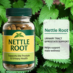 OEM/ODM Hoogwaardige Gezondheidssupplementen Brandnetelwortel <span class=keywords><strong>Extract</strong></span> Capsules ter Ondersteuning van de Prostaat en de Urinegezondheid - Product Image 2