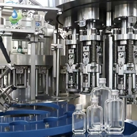 Ligne de production complète automatisée clé en main de boissons gazeuses, équipement de remplissage de sodas, système de production de boissons gazeuses