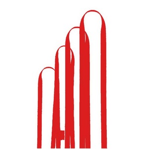 Cinta de anillo pat900 150x2 poliamida roja 25kn - en795b 22322105 - Product Image 1