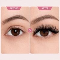 Kit DIY de cils en éventail haute capacité, 3 styles, en cheveux synthétiques, pour extensions de cils, fait main, 10 rangées, pour revendeurs