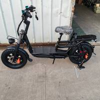 Vélo russe 2024 vélo de livraison électrique Cargo gros pneu vélo électrique ebike gros pneu 16 pouces vélo