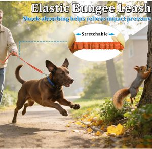 Laisse pour chien multifonction 6-en-1 anti-traction avec ceinture de taille et sangle bandoulière pour grands chiens – Meilleure vente - Product Image 4