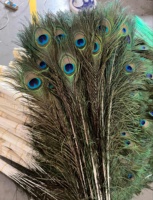 Plume de paon de cobalt naturel teint pour fête carnaval maison mariage pièce maîtresse noël Vase vacances décor bricolage artisanat Floral