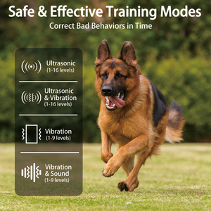 Colliers de dressage pour chiens 2026, rechargeables, télécommandés, à vibrations et chocs, étanches IPX7, sans électrodes ni choc, pour l'entraînement des chiens - Product Image 5
