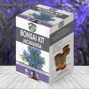Kit <span class=keywords><strong>de</strong></span> cultivo <span class=keywords><strong>de</strong></span> bonsái <span class=keywords><strong>de</strong></span> <span class=keywords><strong>pino</strong></span> al mejor precio <span class=keywords><strong>de</strong></span> alta calidad para el hogar Kit <span class=keywords><strong>de</strong></span> inicio <span class=keywords><strong>de</strong></span> cultivo <span class=keywords><strong>de</strong></span> árboles para productos <span class=keywords><strong>de</strong></span> regalo únicos para hombres - Product Image 2