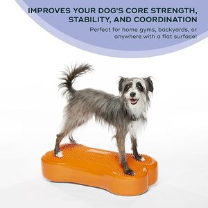 Disque d'équilibre pour chien avec logo personnalisé, modèle os, équipement d'agilité, fonction massage, bâton en forme d'os, respectueux de l'environnement - Product Image 1