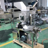 Industriële wortelpersmachine van roestvrij staal, commerciële schroefpers voor fruit, ananas, sinaasappel en citroen.