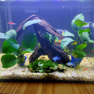 Série OEM HNE Aquarium transparent en verre HD Aquarium de bureau pour usage domestique Aquarium pour poissons - Product Image 1