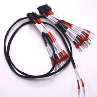 Arnés de Cableado Automotriz con Núcleo de Cobre Personalizado, Cable de Nylon/PVC/PTFE Multi-AWG para Sistemas de Control Electrónico de Vehículos
