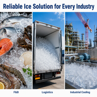 Machine à glace industrielle 10000 kg en acier inoxydable 304, refroidie par eau, pour tubes de 22 mm et 29 mm, fiable et durable pour la production de glace en sacs à usage régional