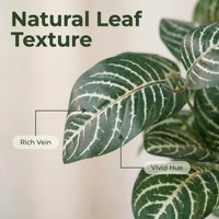 Tanaman Calathea Zebrina Sutra Imitasi Realistis, Tanaman Hias Tropis untuk Dekorasi Rumah dan Kantor, Hadiah Natal, Hari Ibu, Wisuda, Paskah