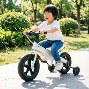 <span class=keywords><strong>Bicicleta</strong></span> <span class=keywords><strong>de</strong></span> <span class=keywords><strong>Equilibrio</strong></span> Eléctrica para Niños <span class=keywords><strong>de</strong></span> 12 Pulgadas con Llantas Anchas, <span class=keywords><strong>Bicicleta</strong></span> para Niños Pequeños para Jugar al Aire Libre, Conducción Segura y Estable, Primera <span class=keywords><strong>Bicicleta</strong></span> para Niños y Niñas - Product Image 3