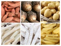 Industriële laag-investeersemi-automatische productielijn voor diepvriesfrieten en verse aardappelchips