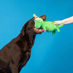 Dinosauro di Peluche <span class=keywords><strong>Verde</strong></span> con Cappello di Compleanno, Giocattolo Elastico e Resistente per Decorazioni Festa, Regali per Bambini e Animali Domestici - Product Image 4