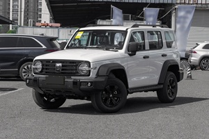 2026 New Tank 300 2.0T 227Ps L4 F-AWD Gasoline Cars 5-<b>door</b> 5-seater SUV Large Space Petrol Cars for Sale - Product Image 2