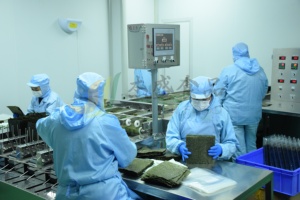 สาหร่ายโนริออร์แกนิคคุณภาพสูงสำหรับทำซูชิ แบบแผ่นกรอบ อบแห้ง ขายส่ง จำนวน 10/50/100 แผ่น สำหรับห่อซูชิ สไตล์ญี่ปุ่นและเกาหลี - Product Image 2