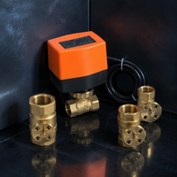 Vannes à 2 voies Winvall OEM pour eau froide et chaude, actionneur électrique 220V, vanne à boisseau sphérique motorisée en laiton, haute qualité