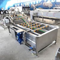 Industriële fruitwasser van roestvrij staal 304, bubbelfruitwasmachine voor het reinigen van zeevruchten, lotuswortels en groenten