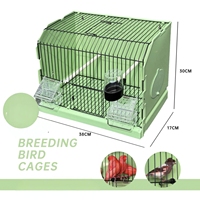 Cage d'Exposition Professionnelle pour Oiseaux et Photographie - Cage Portable pour Canaris, Pinsons et Autres Petits Oiseaux