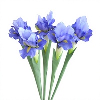 Bunga Iris Buatan Realistis Tangkai Tunggal, Rangkaian Bunga Sutra Biru Ungu, Bunga Palsu untuk Dekorasi Rumah dan Pernikahan