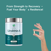 Urolithine A de haute pureté OEM/ODM pour la santé cognitive et musculaire – Complément alimentaire Urolithine A pour le bien-être cellulaire