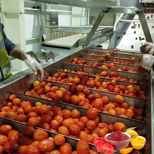 Máquina industrial para hacer salsa de tomate, puré de pasta de tomate, planta de procesamiento de salsa de tomate, línea de producción de tomate
