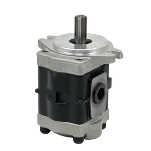 Bomba hidráulica HuamaoStandard Mount serie DSG sin modificaciones para mantenimiento de sistemas hidráulicos de montacargas eléctricos antiguos - Product Image 2