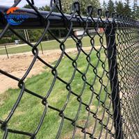 100ft Gegalvaniseerd Zwart Pvc Gecoate Kettingschakel Cycloon Gaas Hek Paneel Kettingschakel Voor Sportspel