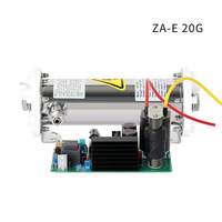 Zeao Wasser kühlung Emaille Ozonrohr Große Luft Reinigen Sie den Ozonator 10G-80G/Std. Ozoniertes Wasser aufbereitung system