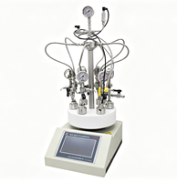 Réacteur de synthèse parallèle haute pression à 6 stations, autoclave en acier inoxydable, système multi-réacteurs, équipement chimique de laboratoire