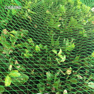 HDPE UV merawat SUGRAND SN-BN Warp rajutan burung perangkap jaring/jaring kabut burung - Product Image 2